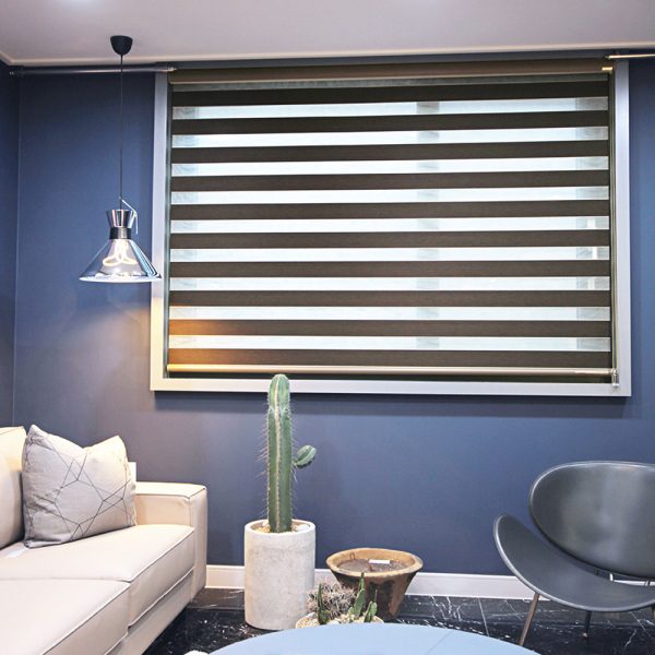Combi Delos Blackout Zebra Blinds 1 1