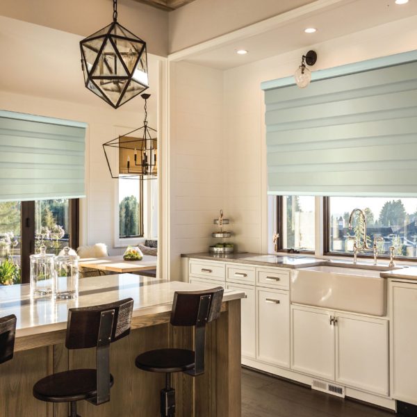 Combi Delos Blackout Zebra Blinds 4 1