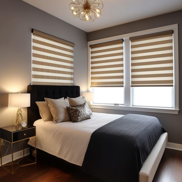 Combi Delos Blackout Zebra Blinds 6 1