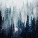 Custom Size Mural Wallpaper 3D Cloud Forest Nature Scenery Wall Painting - Image 5