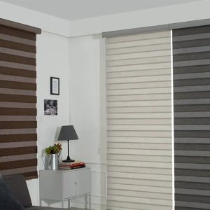 Delta Dual Zebra Shade Room Darkening